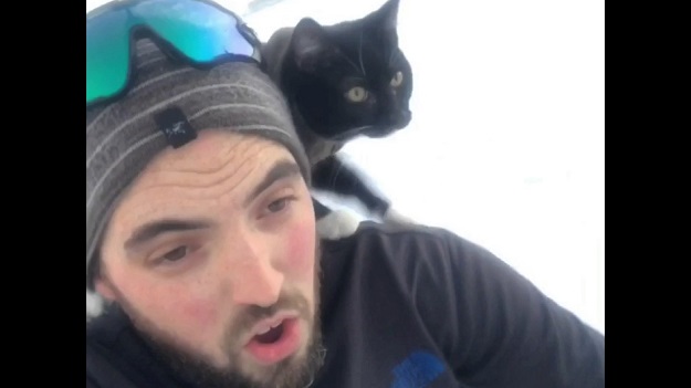 VIRALNI HIT Zanimljivo pitanje: Uživa li ova maca ili? Pogledajte i odgovorite!