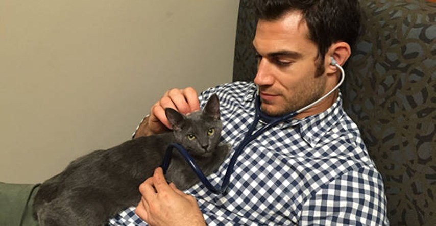 Jedna veterinarska klinika je ponudila savršeno radno mjesto za ljubitelje mačaka