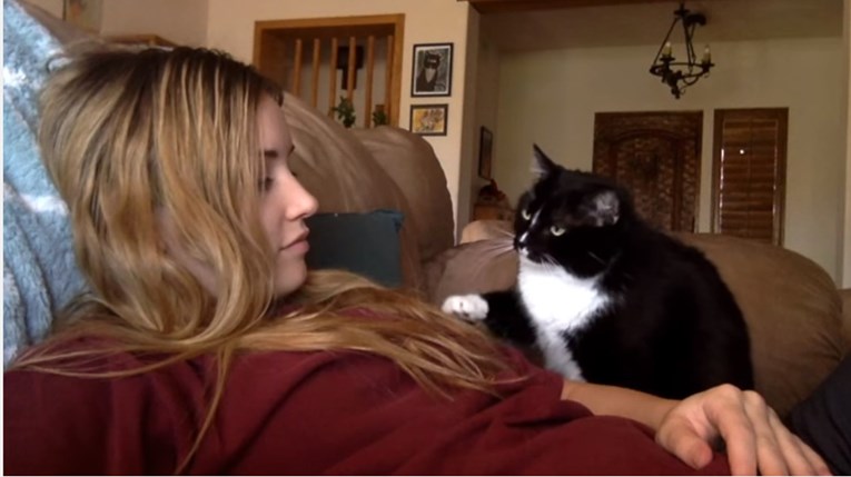 VIDEO Preslatka maca pristojno je zamolila svoju vlasnicu da je mazi