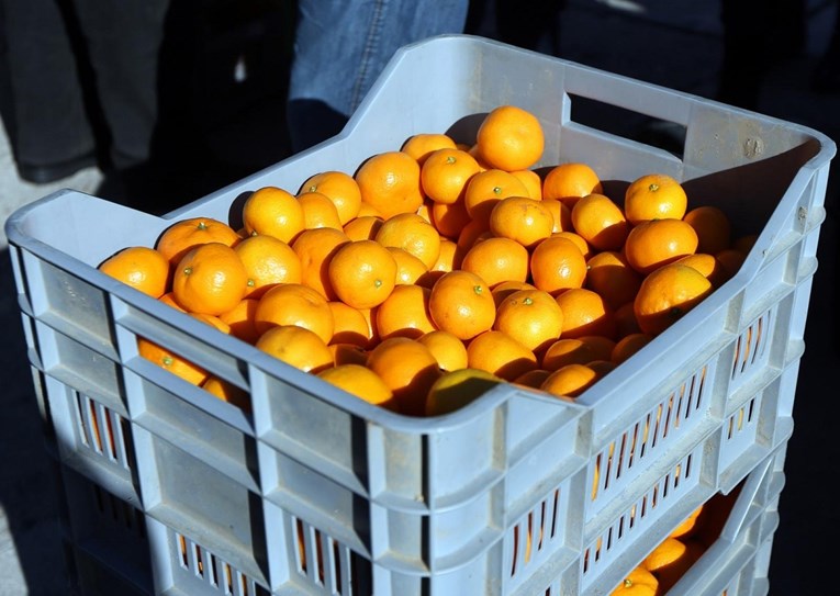 Dubrovačka županija donirala Vukovaru devet tona mandarina