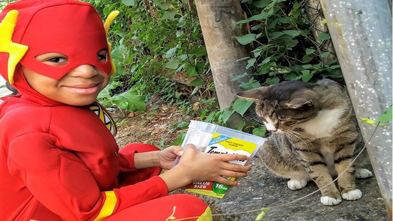 Mali superheroj spašava ulične mačke