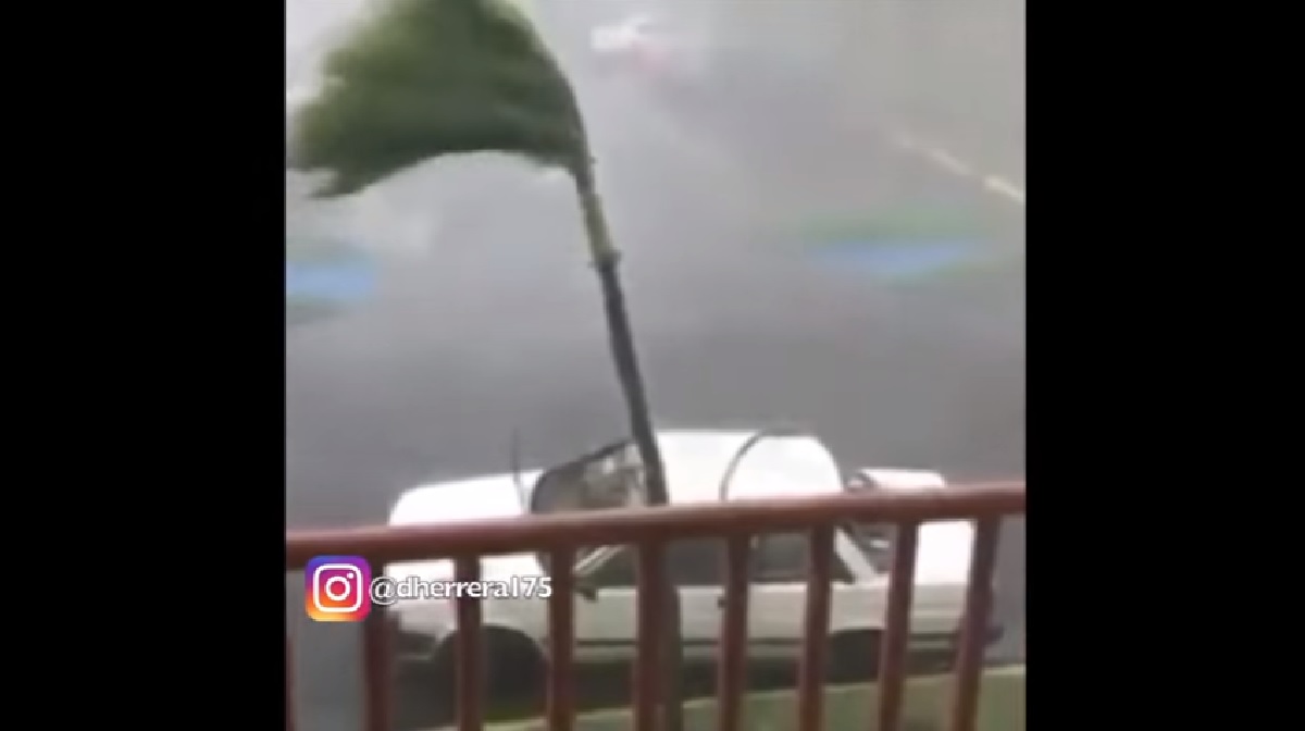 VIDEO Uragan Maria uništava Dominikansku Republiku, broj žrtava raste