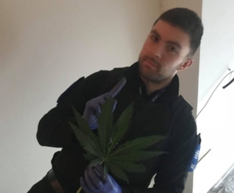 Policija uhvatila uzgajivače marihuane, odao ih - snijeg