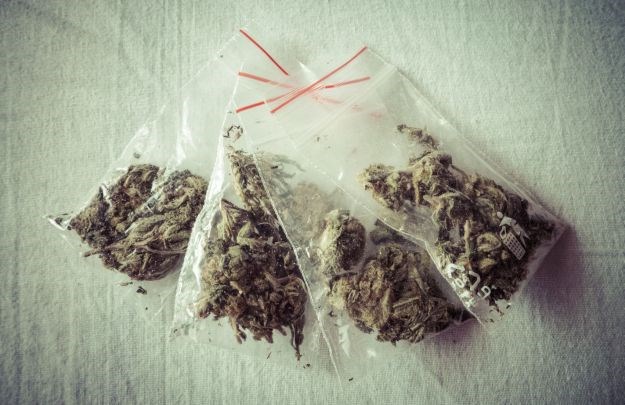 Na faksu pokrenuli kolegij o uzgoju i prodaji marihuane