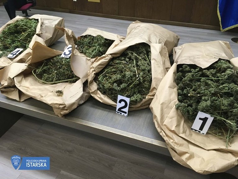 Policija pronašla više od 11 kilograma marihuane u Umagu