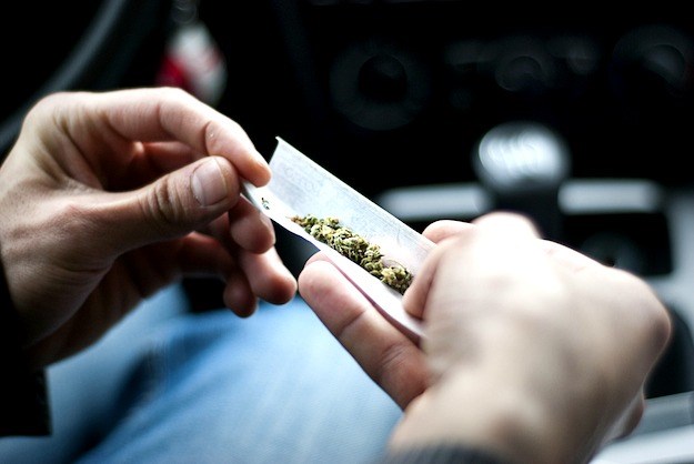 Najveće istraživanje do sada dokazalo: Marihuana ne uzrokuje pad kvocijenta inteligencije