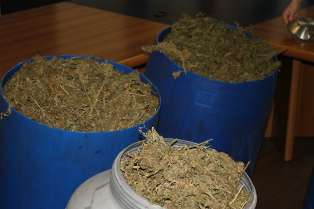 Apel dubrovačkoj policiji: Marihuanu koju ste zaplijenili donirajte u medicinske svrhe