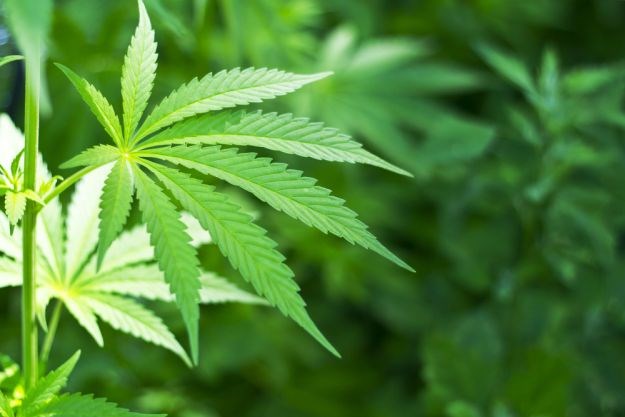 Ohio odbacio legalizaciju marihuane