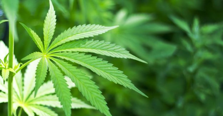 Ohio odbacio legalizaciju marihuane