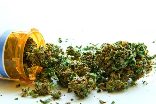 Vlada Jamajke gura zakon o legalizaciji marihuane