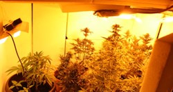 U blizini Trogira 33-godišnjak uzgajao marihuanu u potkrovlju