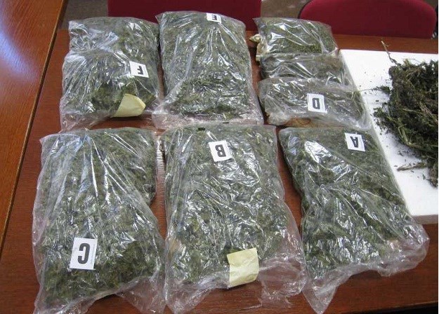 Uhvaćeni s gotovo 13 kilograma marihuane