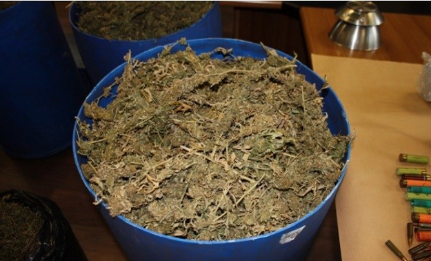 Kod Dubrovnika zaplijenjeno više od 14 kilograma marihuane