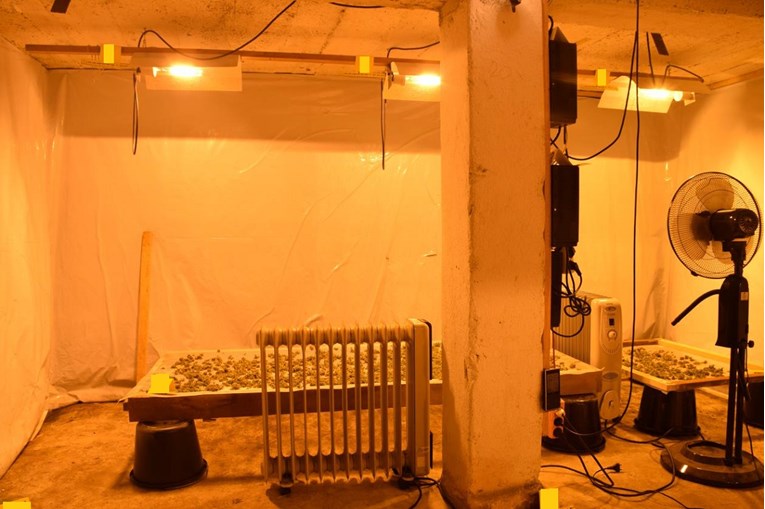 FOTO U podrumu u Velikoj otkriven laboratorij za uzgoj marihuane, pogledajte kako izgleda