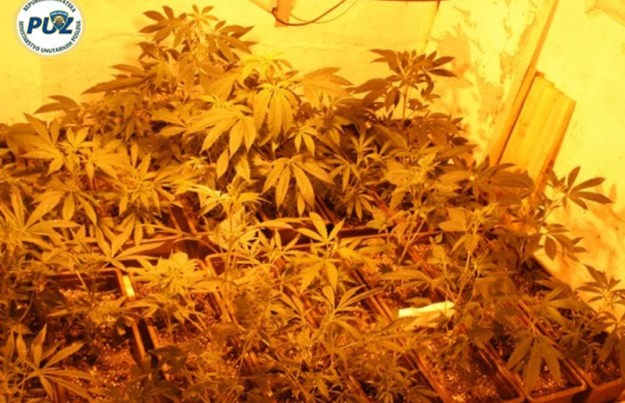 Policija u Zaprešiću pronašla laboratorij za uzgoj marihuane