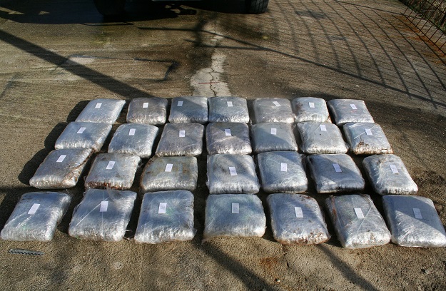 U Zadru pala tri dilera, po gradu i okolici dilali na desetke kilograma marihuane