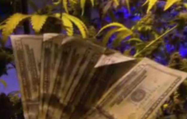 Tisuće novih poslova godinu dana nakon legalizacije marihuane u Coloradu