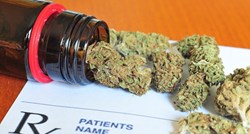 Prva pobjeda do legalizacije kanabisa: Kreće regulacija marihuane za pacijente