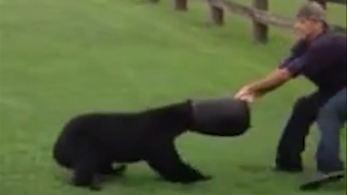 VIDEO Medo je zapeo s kantom na glavi, a ovaj čovjek bio je hrabar