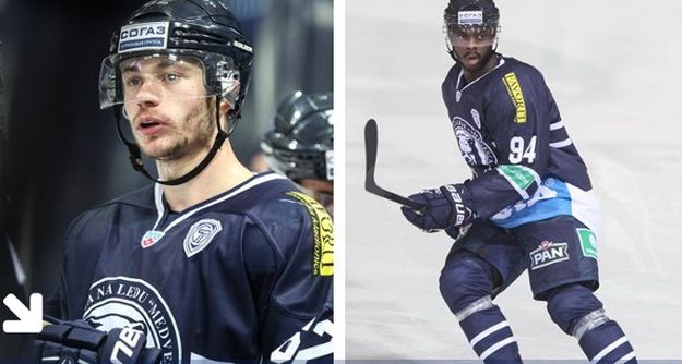 Medveščak doveo novog Finca, Hedberg i Bjorkstrand produljili ugovore