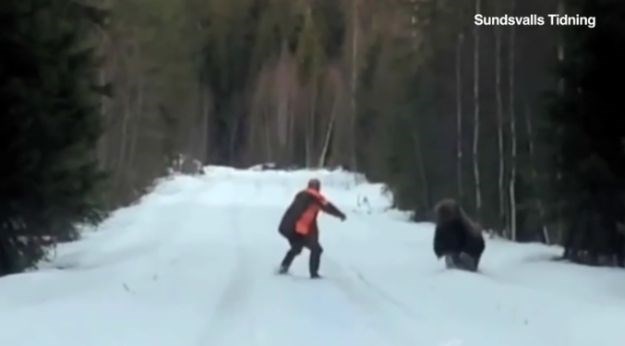 Nevjerojatna scena: Medvjed se zaletio na čovjeka, čovjek ga toliko preplašio da je pobjegao