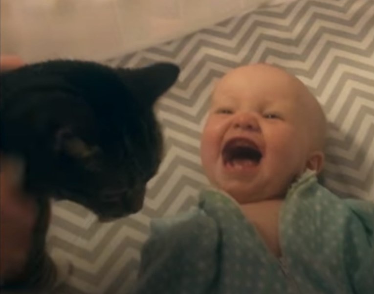 Oduševljenje bebe kada je ugledala macu je zarazno i izmamit će vam osmijeh na lice