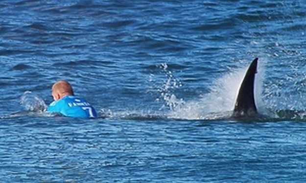 Svjetski prvak u surfanju otkrio kako je izgledala borba s morskim psom