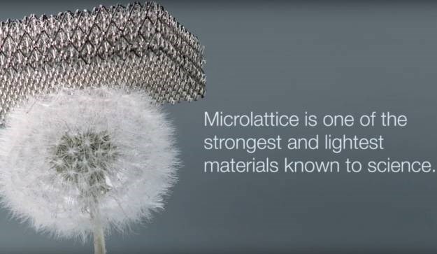 Pogledajte kako najlakši metal svijeta balansira na vrhu maslačka