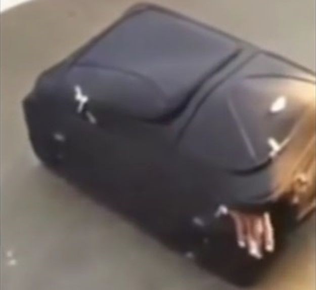 VIDEO Šok na granici: Iz kofera su začuli jaukanje, a onda je provirila ruka...
