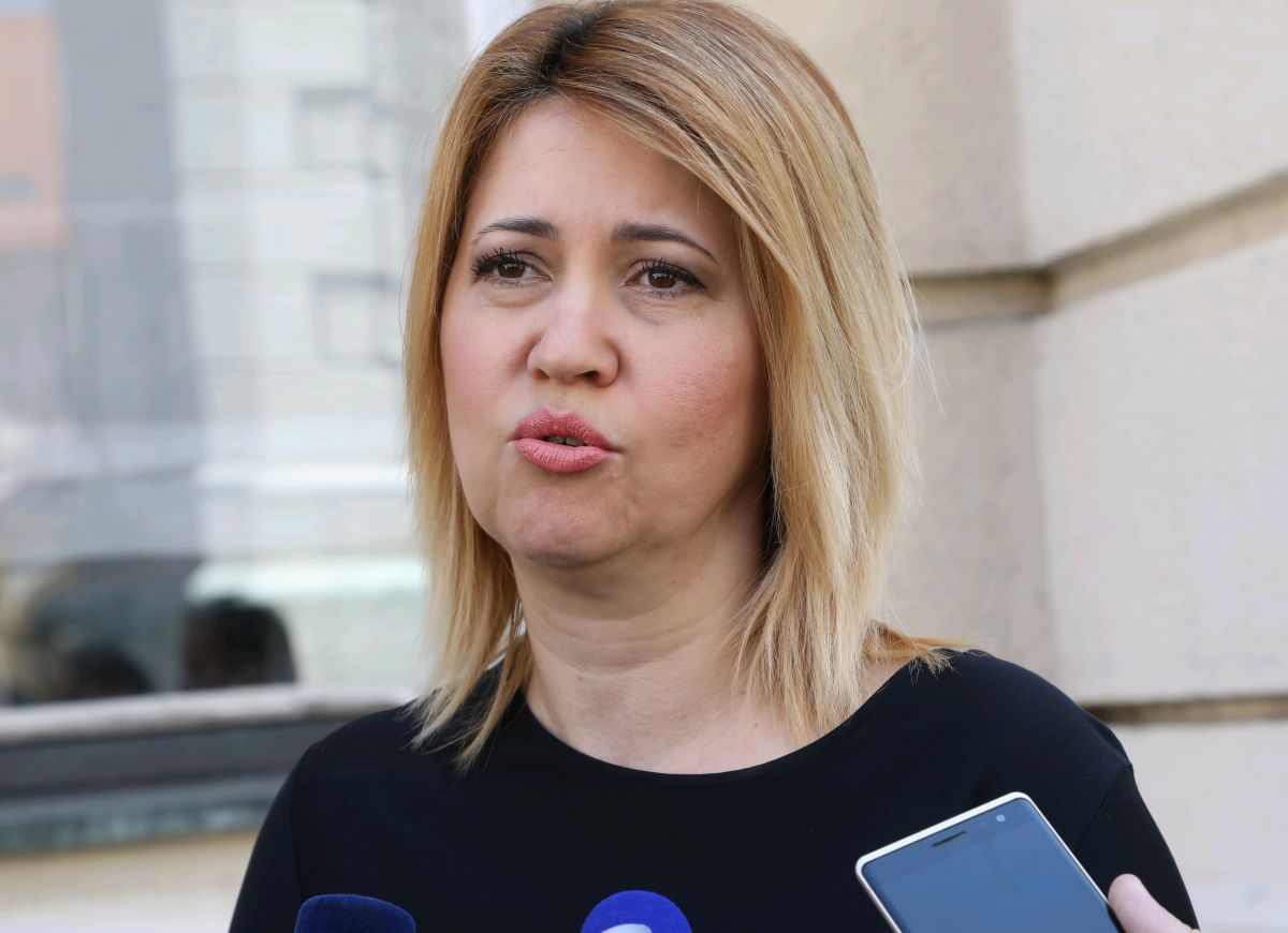 Opačić: Oporba podržava povećanje porodiljnih naknada, ali...