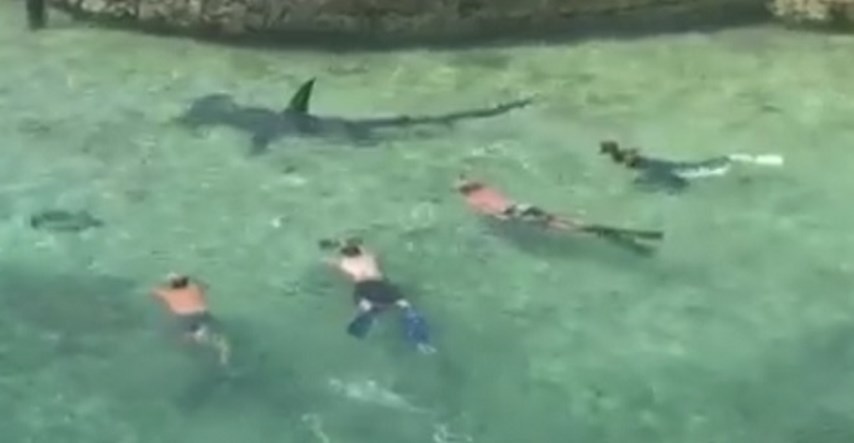 VIDEO Snimio bliski susret kupača i velikog morskog psa