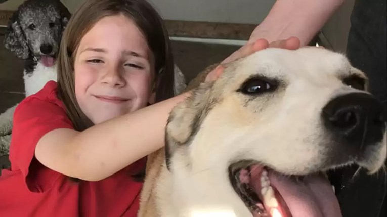 O ovom 9-godišnjaku bruji cijeli internet, a za sve je kriva ljubav prema psima