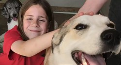 O ovom 9-godišnjaku bruji cijeli internet, a za sve je kriva ljubav prema psima