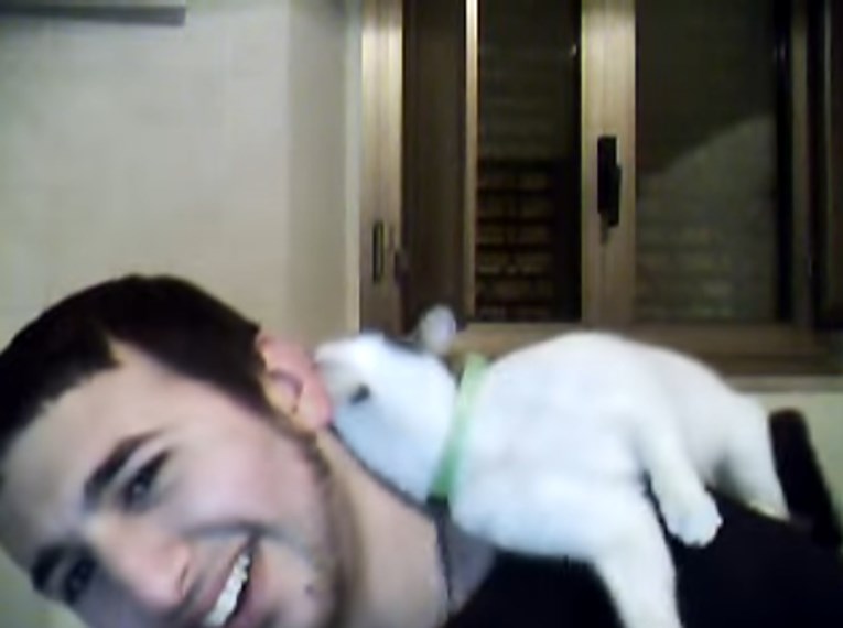 VIDEO Ova maca jednostavno obožava svog novog prijatelja