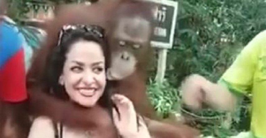 VIDEO Urnebesni selfieji: Orangutan navalio na grudi turistice koja se htjela fotkati s njim
