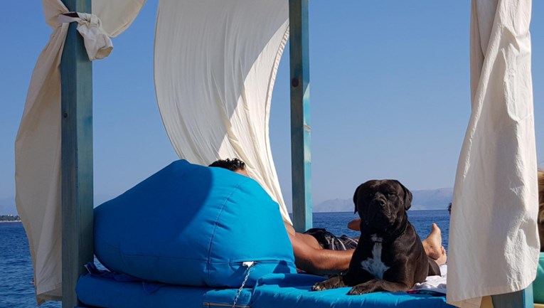 VIDEO Raj za ljubimce doista postoji i smješten je na predivnoj psećoj plaži u Crikvenici