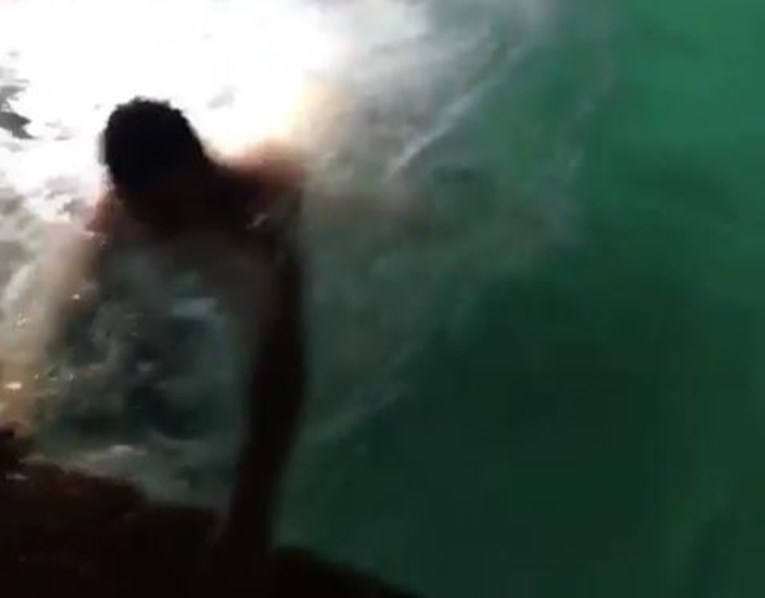 VIDEO Pijan skočio u bazen pun morskih pasa i odmah požalio