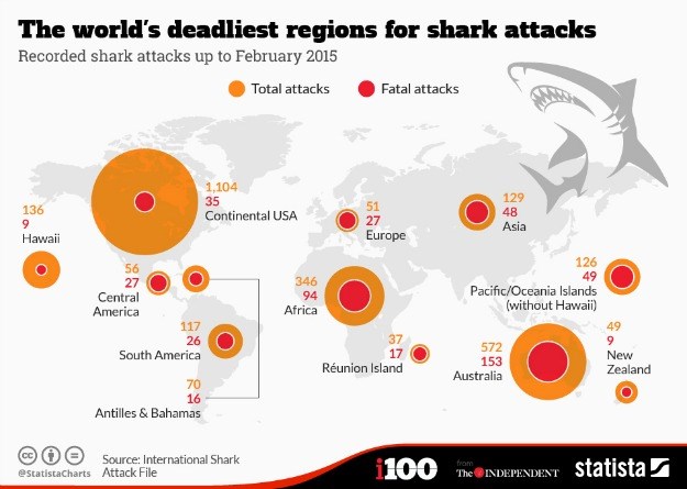 Svi napadi morskih pasa na jednom mjestu: Evo koji su dijelovi svijeta najopasniji