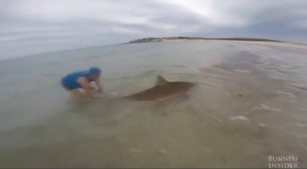 Tinejdžer upecao morskog psa teškog oko 200 kilograma