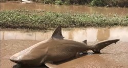 Oluje i poplave izazvale kaos u Australiji, morski psi plivaju ulicama