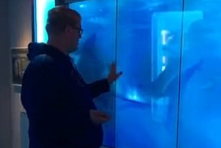 VIDEO Kucao morskom psu u akvariju pa doživio nešto čemu se nije nadao