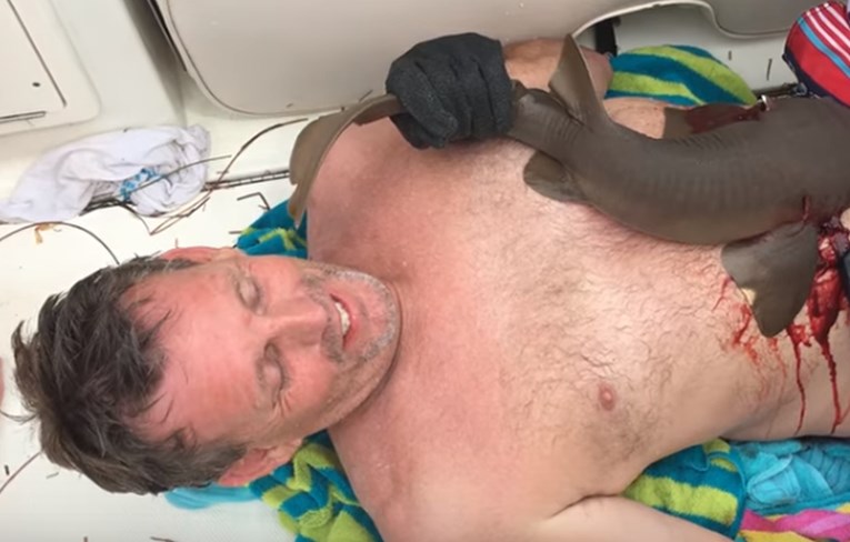 VIDEO Morski pas napao ronioca, zbog onog što je učinio zamrzili su ga ljubitelji životinja