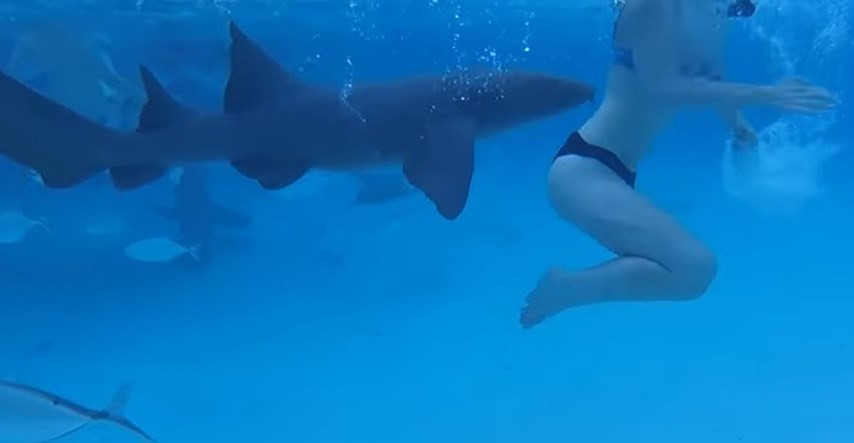 VIDEO Snimio jeziv trenutak u kojem mu je morski pas napao suprugu