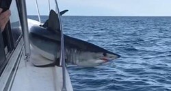 VIDEO Kao u horor filmu: Pobješnjeli morski pas im skočio na palubu