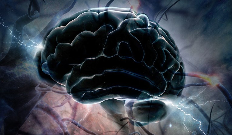Znanstvenici otkrili kakav mozak imaju inteligentni ljudi