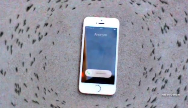 Kakve su ovo vradžbine, zašto mravi ovako polude oko iPhonea koji zvoni?