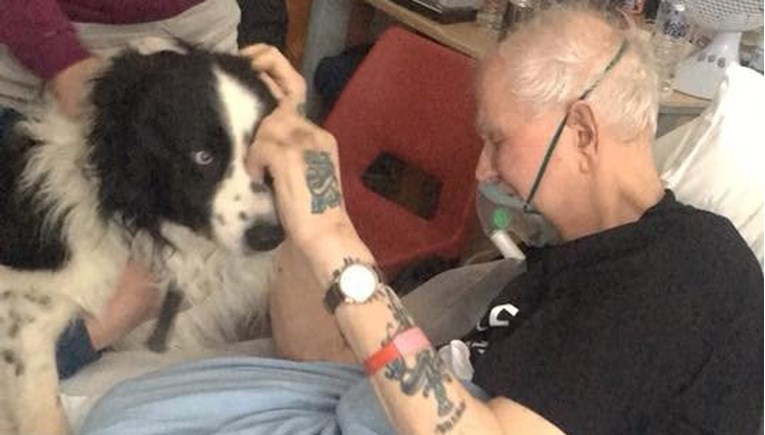 VIDEO Ispunili su čovjeku posljednju želju i dopustili da ga u bolnici posjeti pas