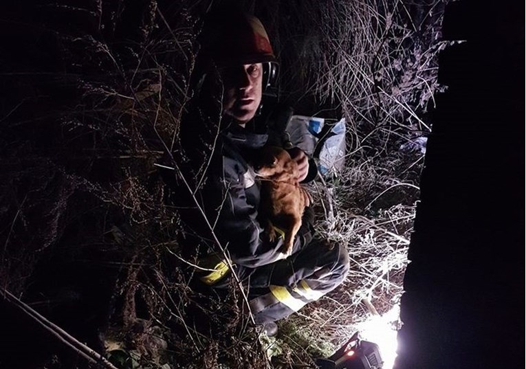 Kujica Mrvica iz Slavonije lajanjem probudila vlasnicu i spasila je iz kuće u plamenu