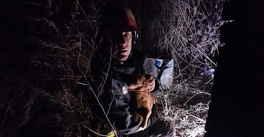 Kujica Mrvica iz Slavonije lajanjem probudila vlasnicu i spasila je iz kuće u plamenu
