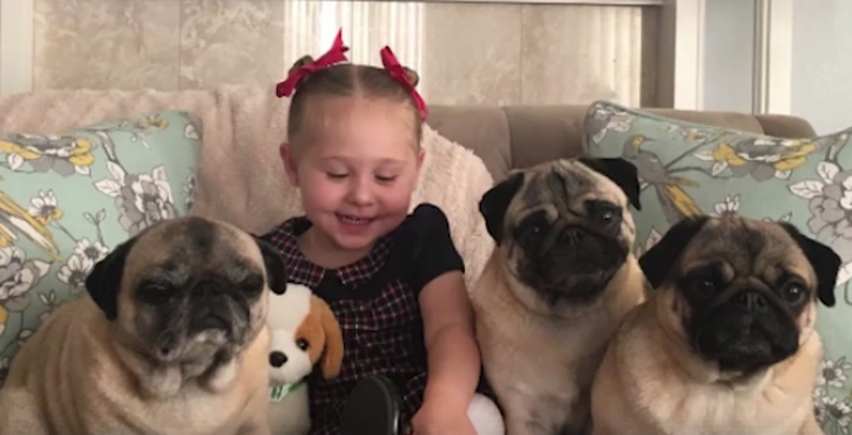 VIDEO Ova djevojčica odrasta s tri mopsa i oni su najslađa obitelj na svijetu